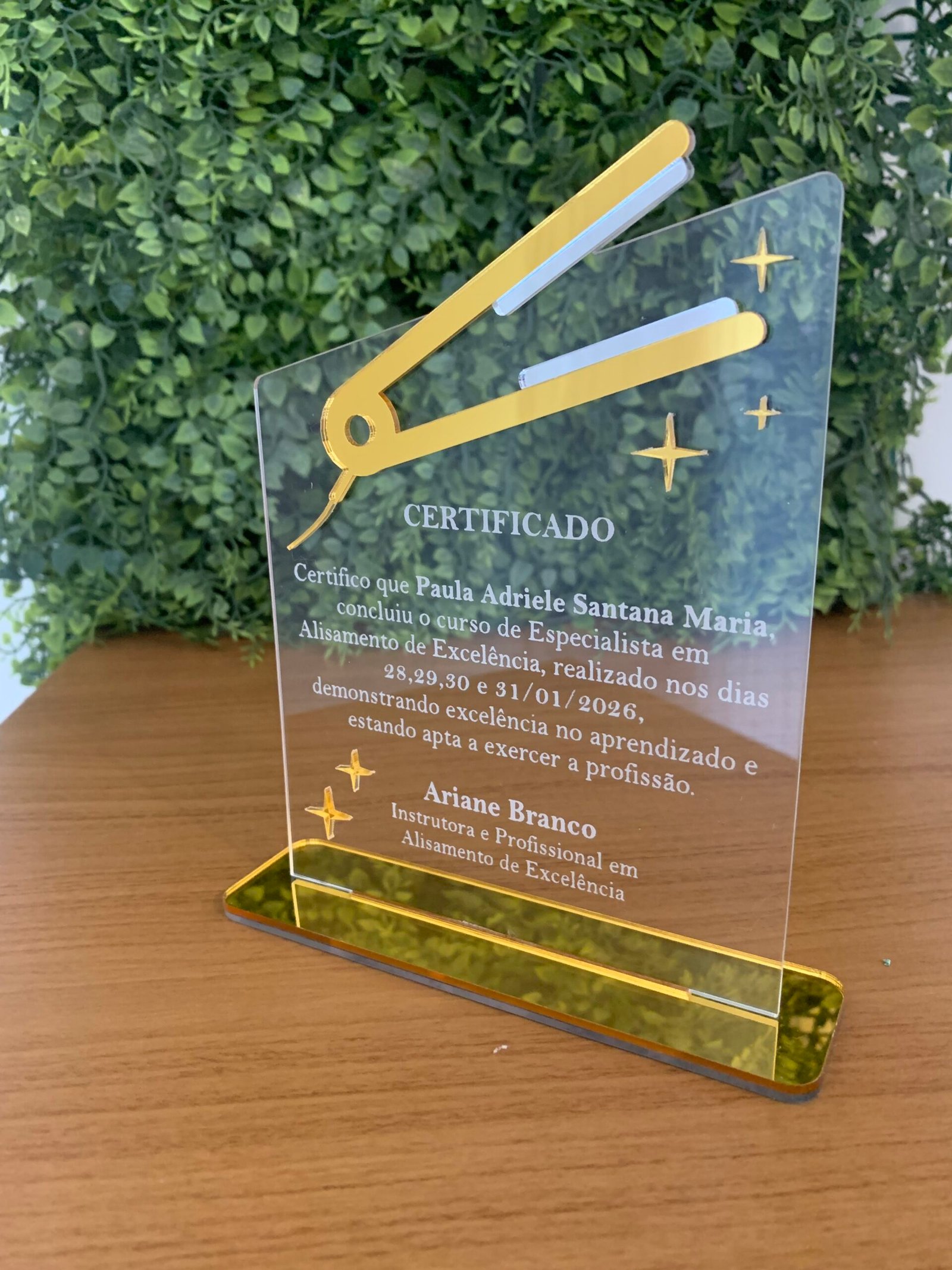 Troféu Personalizado - Certificado - Imagem 2