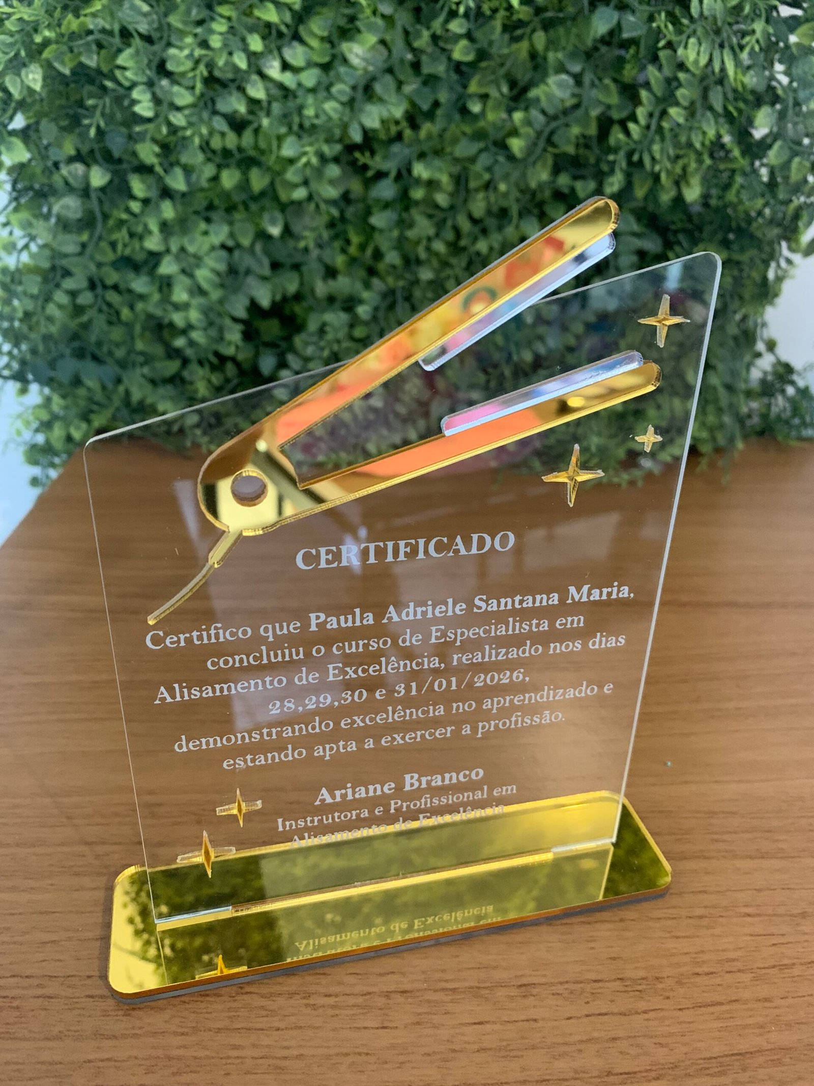 Troféu Personalizado - Certificado - Imagem 3