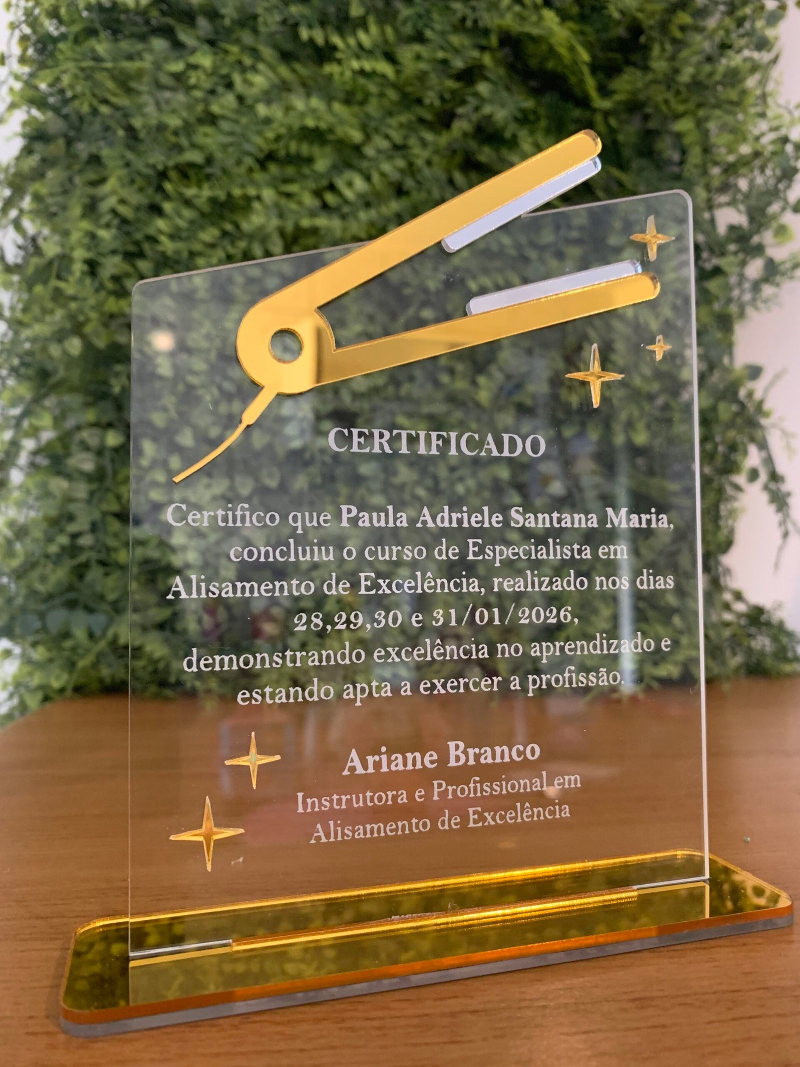 Troféu Personalizado - Certificado